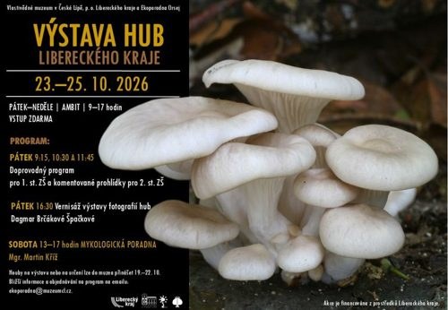 Výstava hub Libereckého kraje